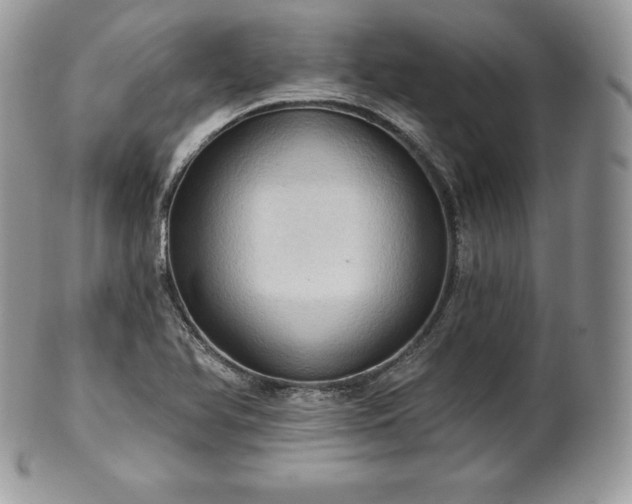 X0000101161366200807071148