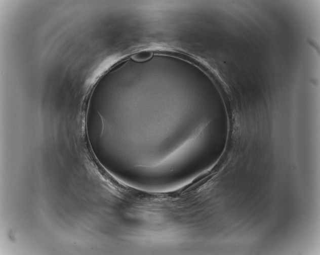 X0000101161367200807071148