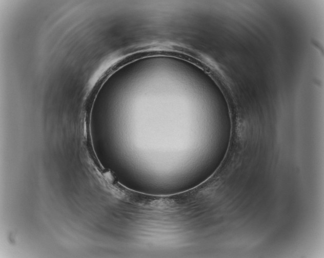X0000101161368200807071148