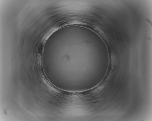 X0000101161369200807071148