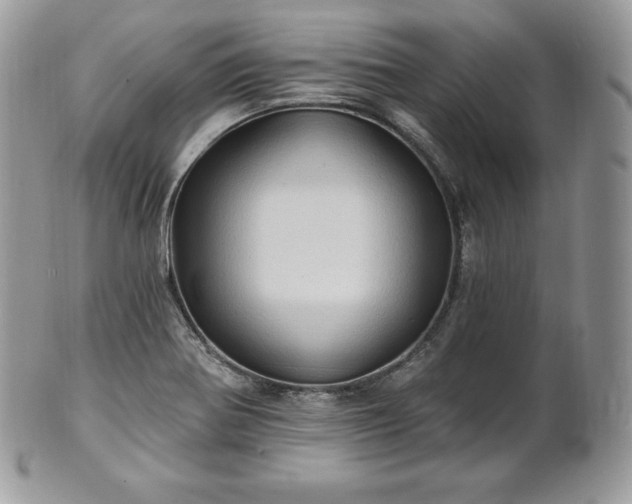 X0000101161370200807071148
