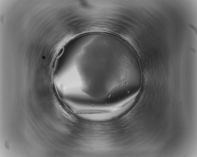 X0000101161371200807071147