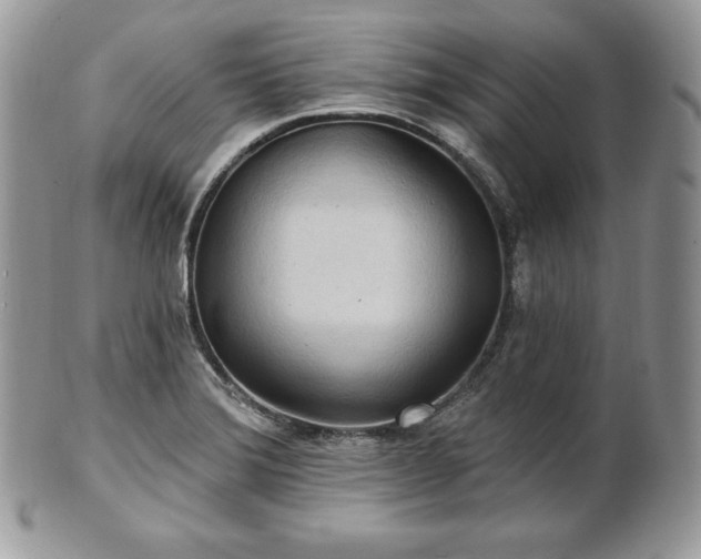 X0000101161372200807071147