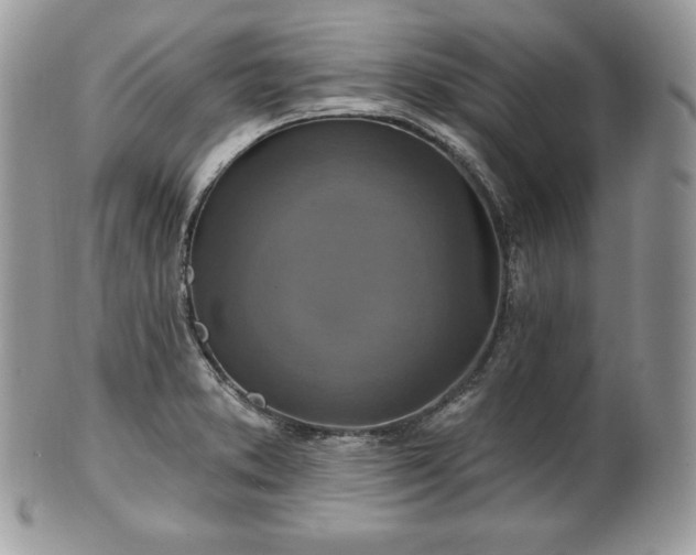 X0000101161373200807071147