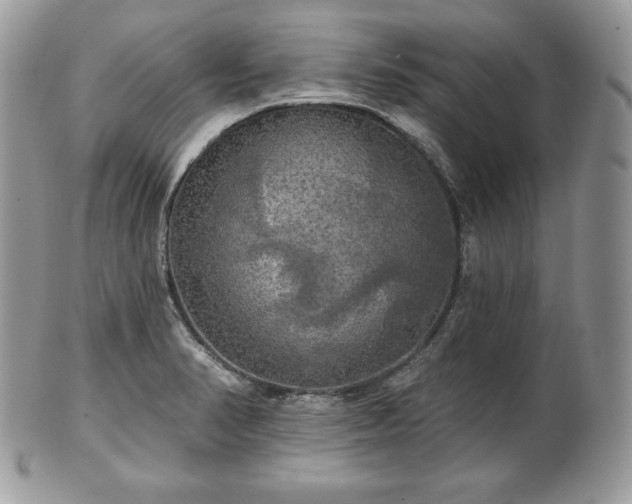 X0000101161374200807071147