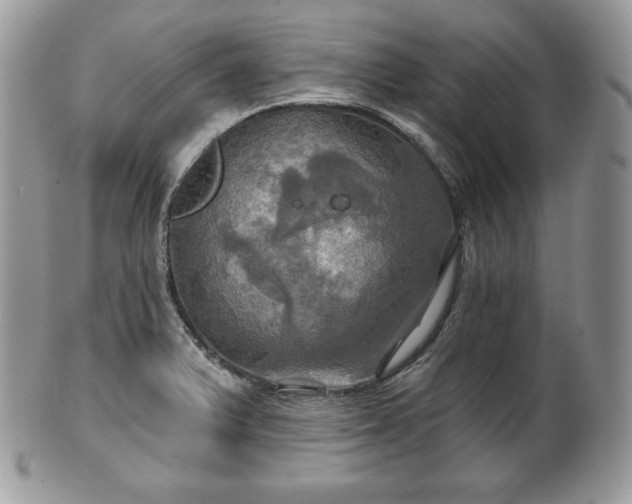 X0000101161375200807071147