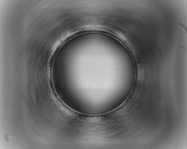 X0000101161376200807071147