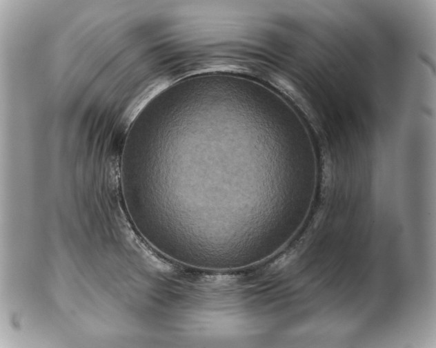 X0000101161377200807071147