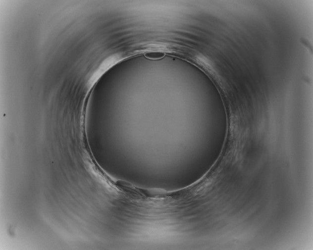 X0000101161378200807071147