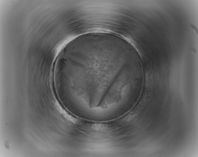 X0000101161379200807071147