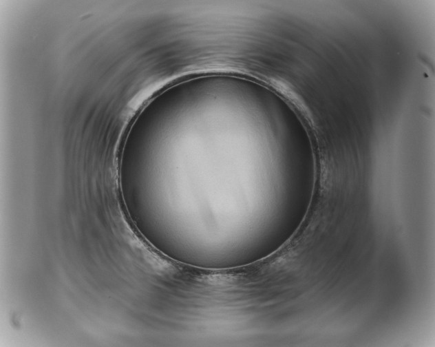 X0000101161380200807071147