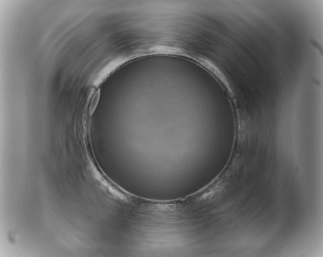X0000101161381200807071147