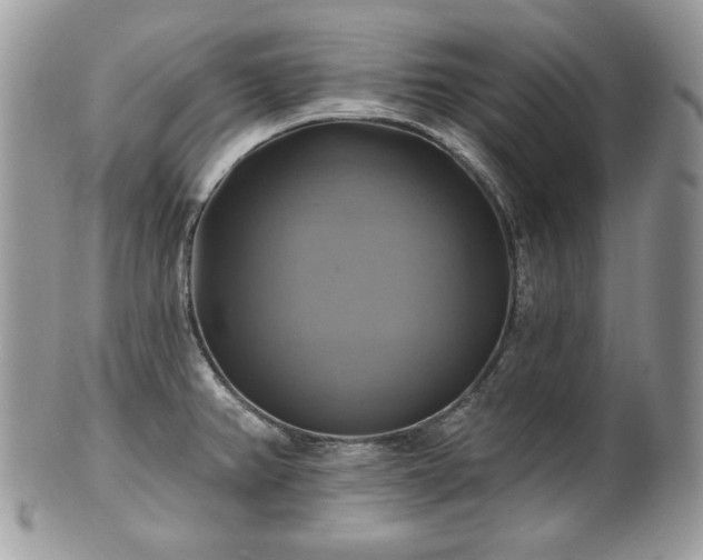 X0000101161382200807071147