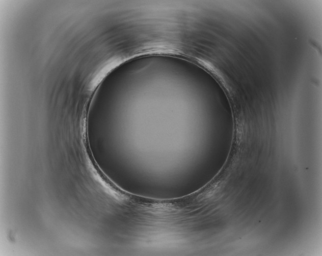 X0000101161383200807071147