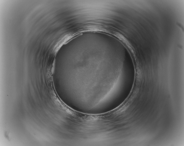 X0000101161385200807071147