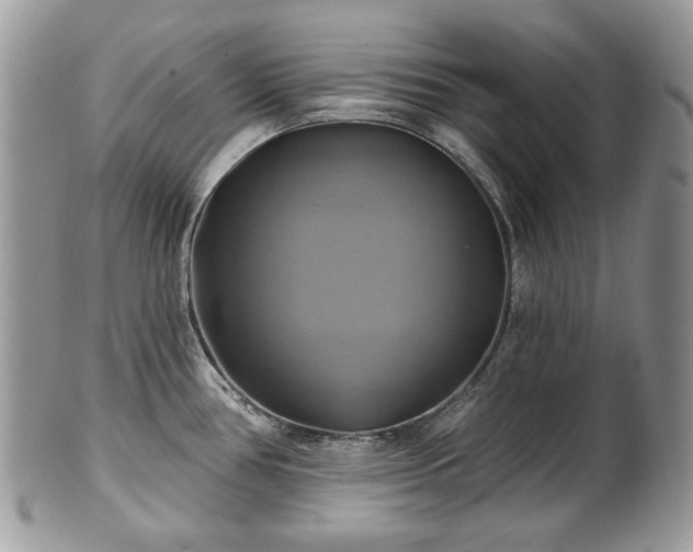 X0000101161386200807071147