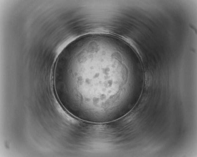 X0000101161387200807071147