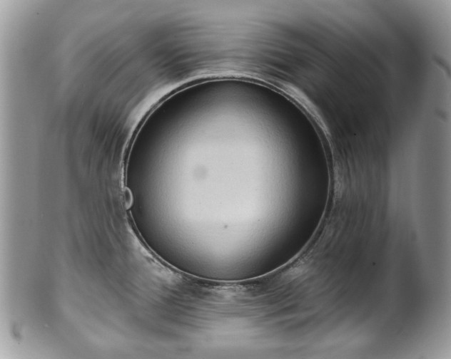 X0000101161388200807071147