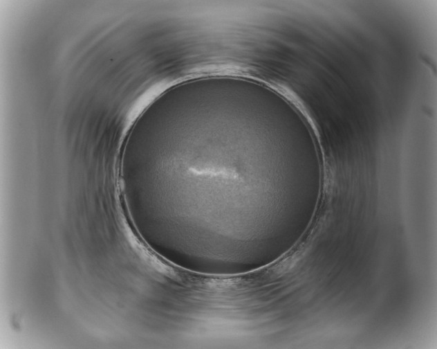 X0000101161389200807071147