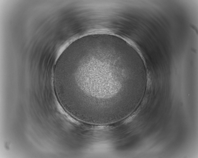 X0000101161390200807071147