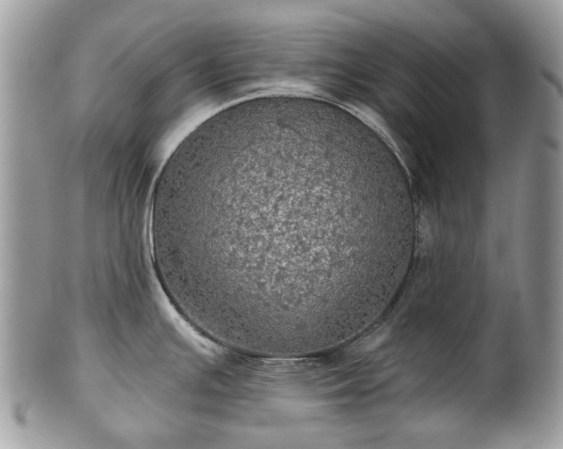 X0000101161391200807071147