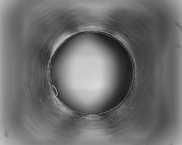 X0000101161392200807071147