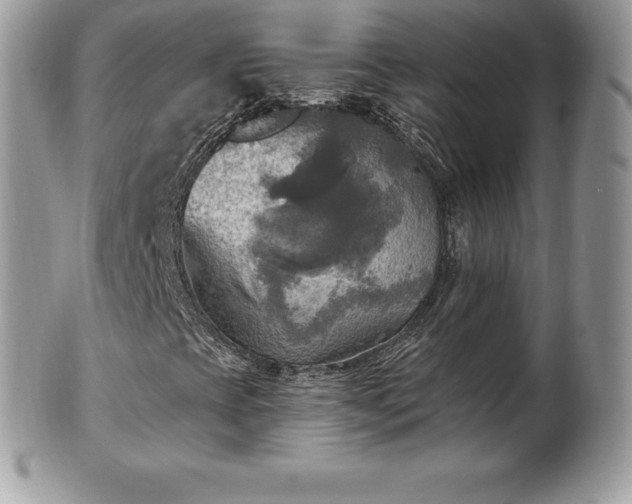 X0000101161393200807071146