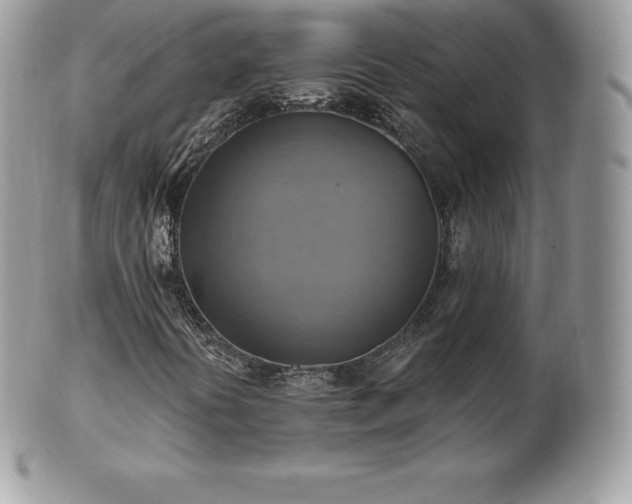 X0000101161394200807071146