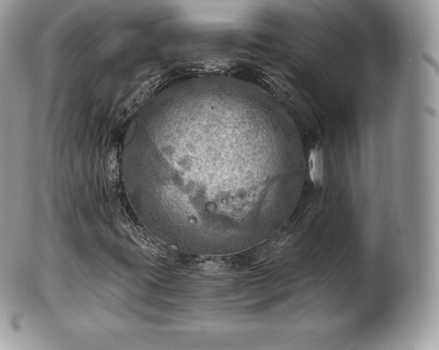 X0000101161395200807071146