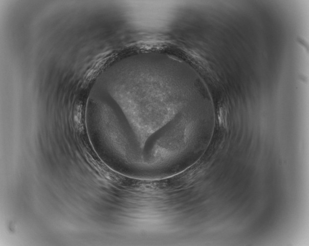 X0000101161396200807071146