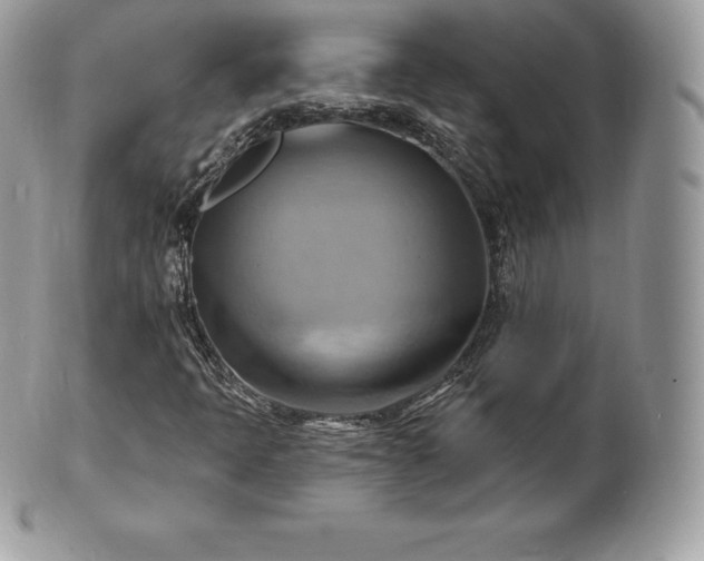 X0000101161397200807071146