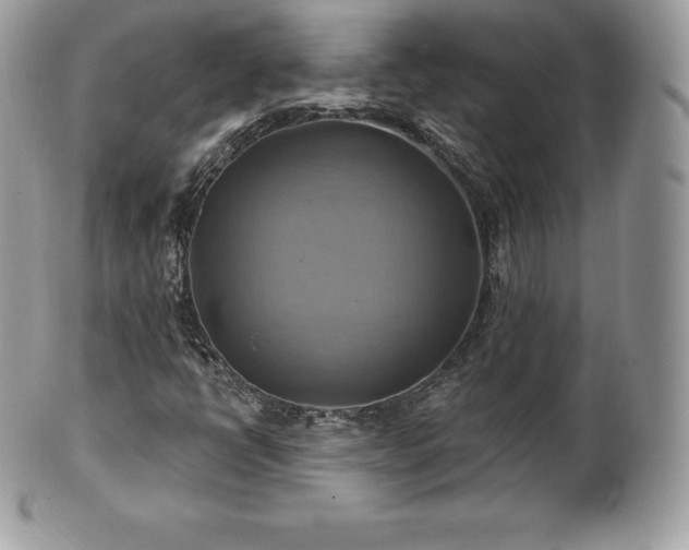 X0000101161398200807071146