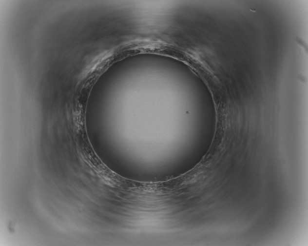 X0000101161399200807071146