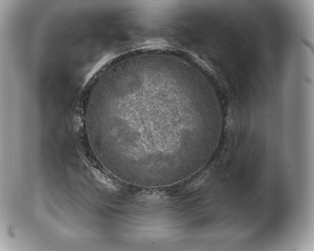 X0000101161400200807071146