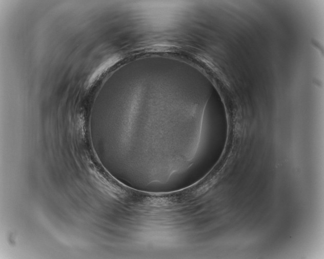 X0000101161402200807071146