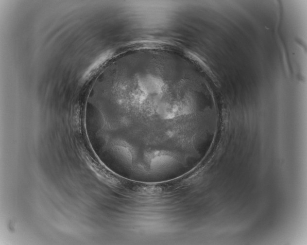 X0000101161403200807071147