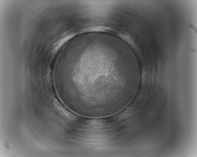 X0000101161404200807071147