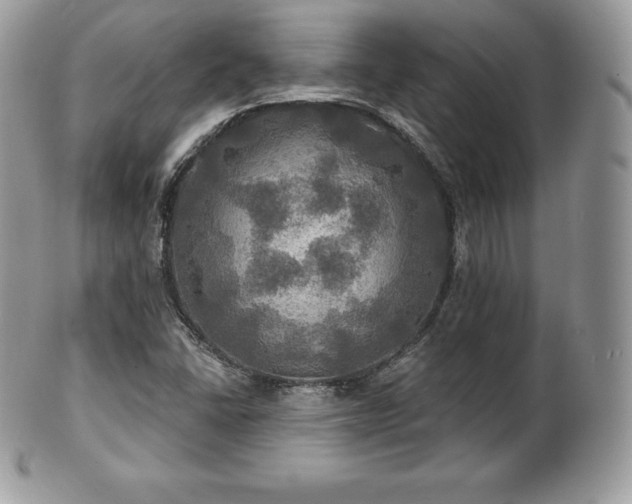 X0000101161406200807071147