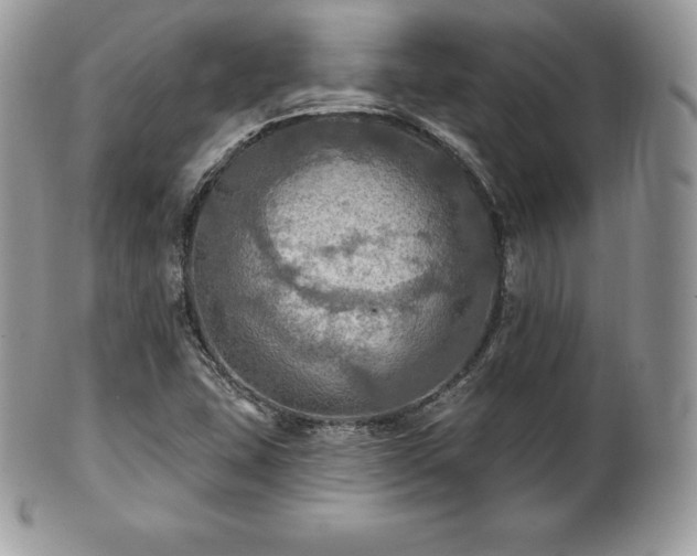 X0000101161407200807071147