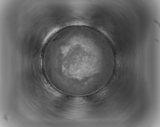 X0000101161408200807071147