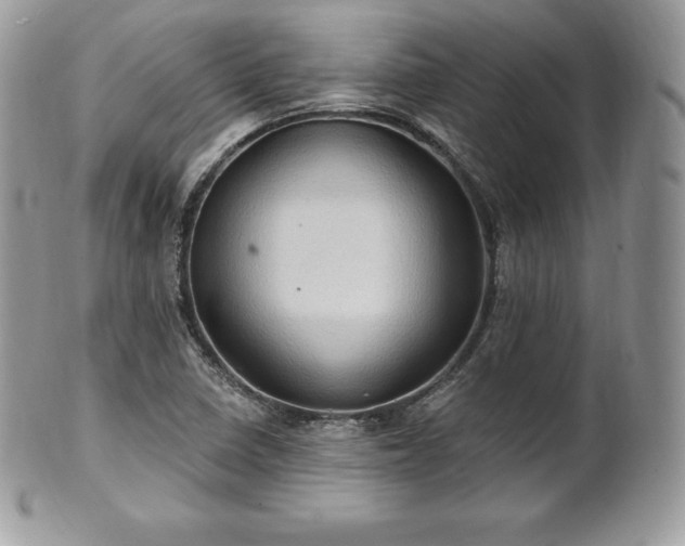 X0000101161410200807071147