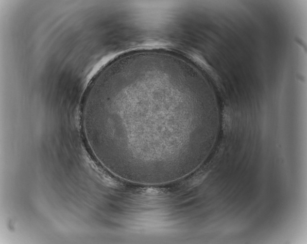 X0000101161412200807071147