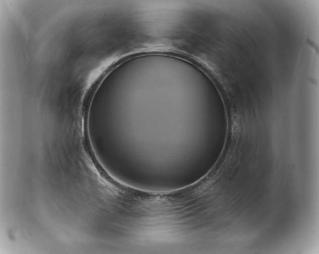X0000101161414200807071147