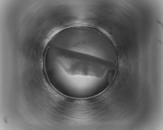 X0000101161415200807071147
