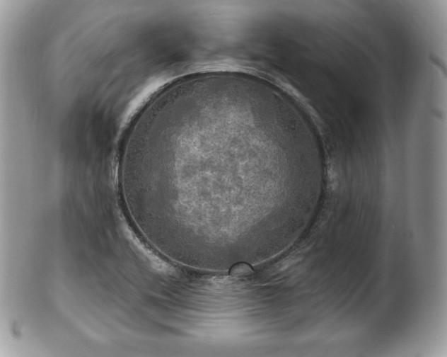 X0000101161416200807071147