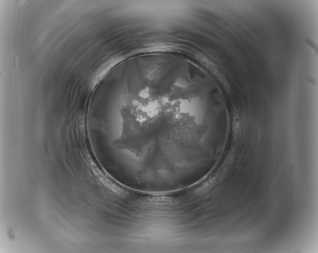 X0000101161417200807071147