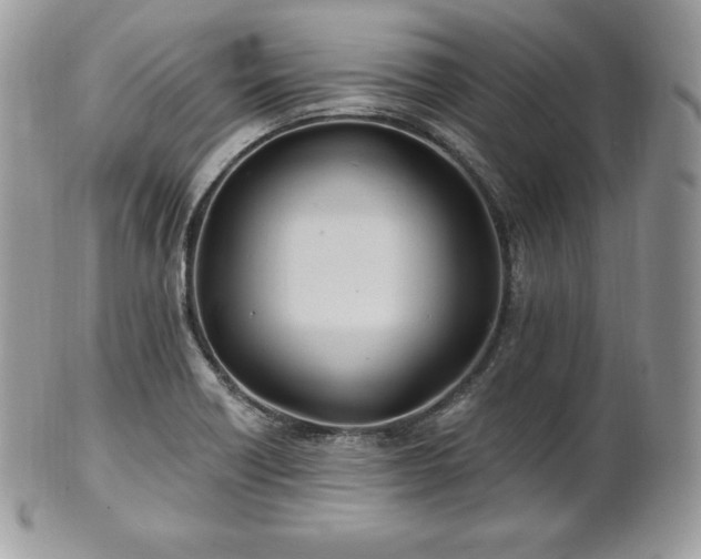X0000101161418200807071147