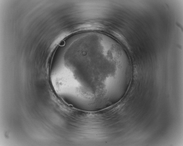 X0000101161419200807071147
