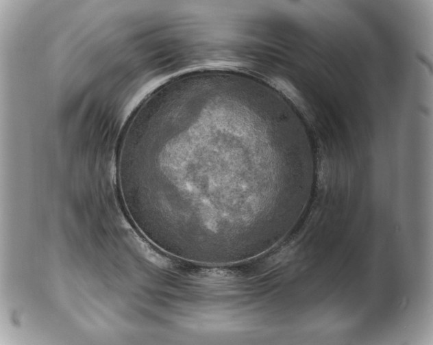X0000101161420200807071147