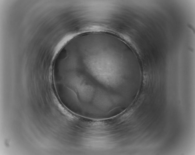X0000101161421200807071147